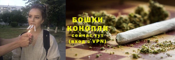 кокс Арсеньев