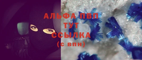кокс Арсеньев